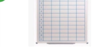 VISTA Wall Mounted One Term Planner